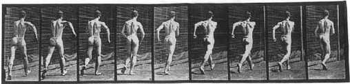 [Eadward Muybridge reel of nude walking man]